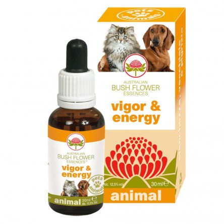 VIGOR & ENERGY 30ML