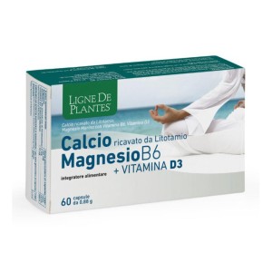 CALCIO+MAGNESIO B6+VITD3 60CPS