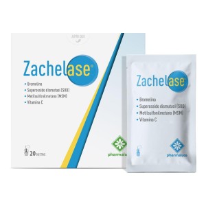 ZACHELASE 20BUST