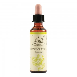 HONEYSUCKLE BACH ORIG 20ML