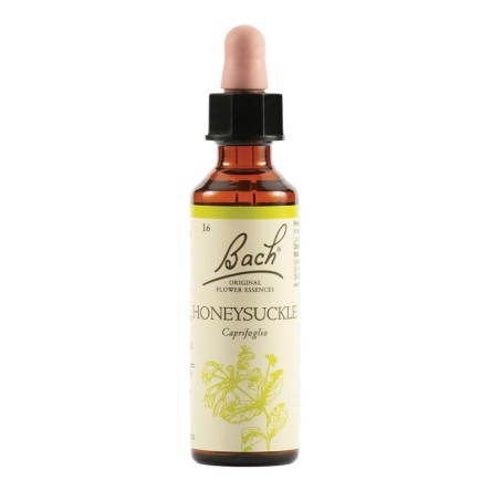 HONEYSUCKLE BACH ORIG 20ML HONEYSUCKLE BACH ORIG 20ML