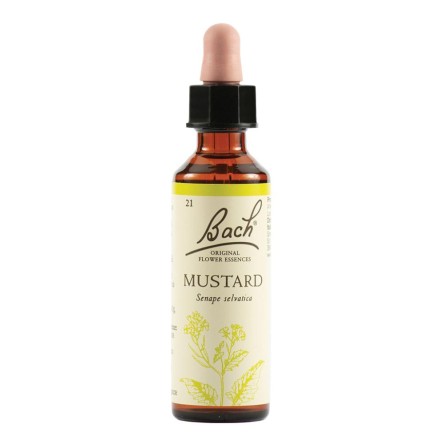 MUSTARD BACH ORIG 20ML MUSTARD BACH ORIG 20ML