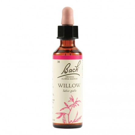 WILLOW BACH ORIG 20ML