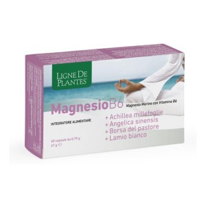 LIGNE MG B6+ACHIL+ANG+PAST+LAM