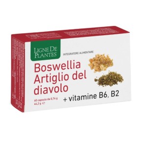 BOSWELLIA ARTIGLIO DIAVOL 60CP