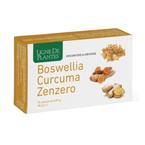 BOSWELLIA CURCUMA ZENZERO60CPS