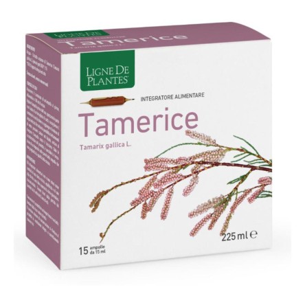 TAMERICE 15AMP 15ML
