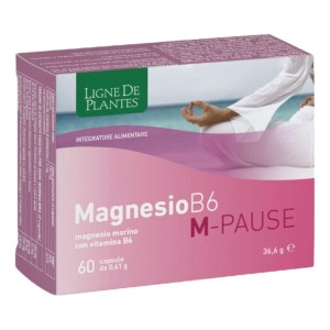 MAGNESIO B6 M-PAUSE 66CPS