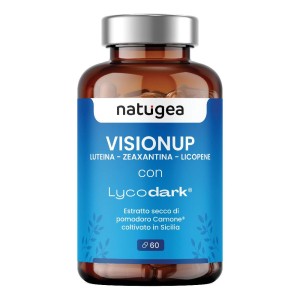 VISIONUP 60CPR