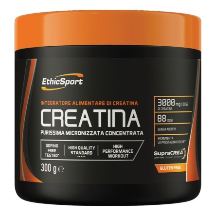 CREATINA 300G ETHICSPORT CREATINA 300G ETHICSPORT