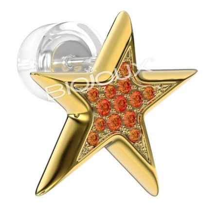 WNX503 ORECCHINI WINX STELLA