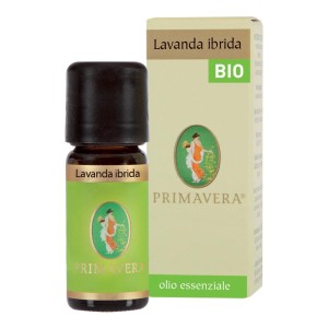 O.E. LAVANDA IBRIDA ITCDX BIO FL