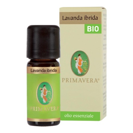 O.E. LAVANDA IBRIDA ITCDX BIO FL