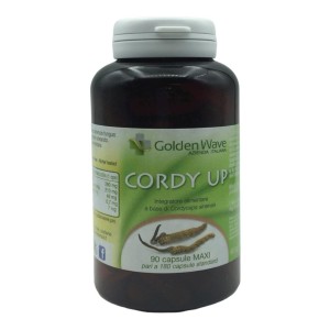 CORDY UP 90MAXI CPS