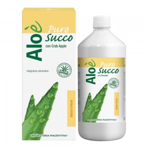 ALOE' 1000ML PURO SUCCO C/POLP