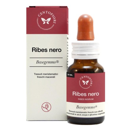 RIBES NERO BASEGEMMO 30ML
