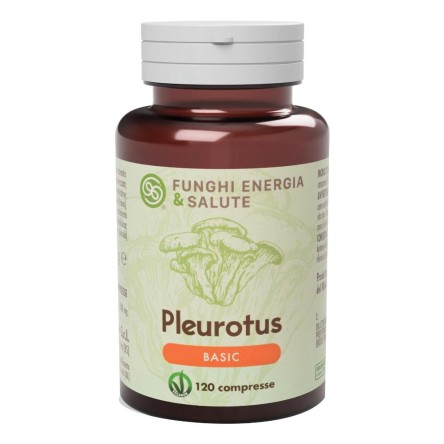 PLEUROTUS LINEA BASIC 120CPR (00 PLEUROTUS LINEA BASIC 120CPR (00