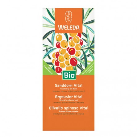 OLIVELLO SPINOSO VITAL SCIR WE