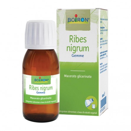 RIBES NIGRUM MG 60ML INT BO