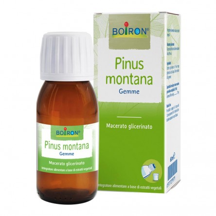 BO.PINUS MONTANA MG 60ML INT