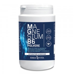 MAGNESIUM B6 POLV 200GR ERBA V