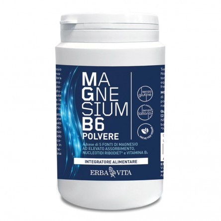 MAGNESIUM B6 POLV 200GR ERBA V