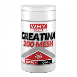 WHYSPORT CREATINA 200 MESH500G