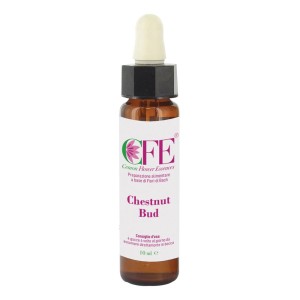 CHESTNUT BUD CFE STO BOT10ML CEM