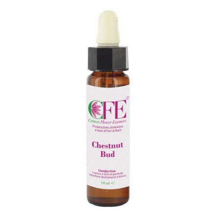 CHESTNUT BUD CFE STO BOT10ML CEM