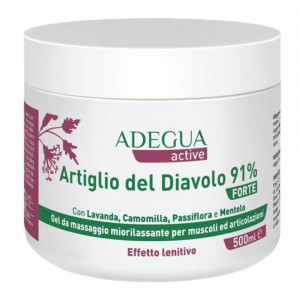 ADEGUA ACTIVE A DIAV 91% FT500