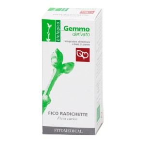FICO RADICHETTE MG 50ML BIO