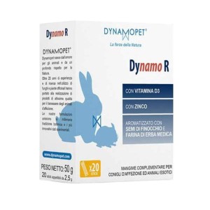 DYNAMO R 20STICK 2,5G
