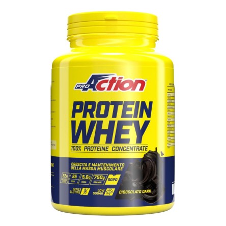 PROACTION PROT WHEY CIOC DARK